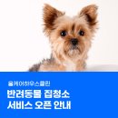 H 동물병원 | 올케어하우스클린, 강아지 고양이 반려동물 집청소 서비스 오픈