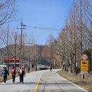 세동보건진료소 이미지