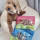 하트강아지 | 강아지 간식 안전한 국내 생산 뽀뽀백번 하트 터키츄 급여 후기