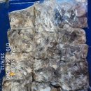 쭈꾸미스타 이미지