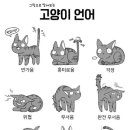 머스트바디 이미지