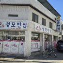 성모반점 이미지