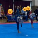 파주연세태권도장 이미지