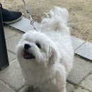 시립미술관(팔각정) 이미지