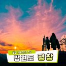 평창 별이빛나는밤에 | 3월여행지 평창가볼만한곳 8곳 강원도여행