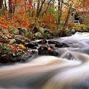 이양초등학교 이미지