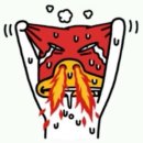 특급노래방 | 임영웅 콘서트 선예매 후기