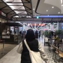 로이드롯데몰