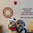 하이파크2로 | 일산 애견카페 테일더블루 실내 넓고 입장료 저렴한 애카