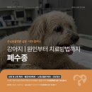 심동물병원