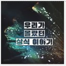 (주)대우로지스틱스 이미지