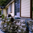 모시개민박 이미지