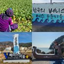 두문마을 | 여수 갓김치 두문마을 드라이브 국내 조용한 여행지 여자 혼자 힐링여행