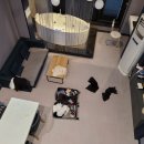 아르노펜션 이미지