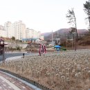 명동어린이공원 화장실 이미지
