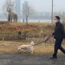 토리기획 이미지