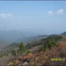 진고개목장 이미지