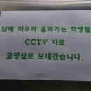 모두가반한호두파이 이미지