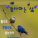 에스앤비컨설팅 이미지