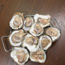 굴선생 | 떡굴(토굴, 갯굴) 솔직 후기 + 맛있게 먹는법