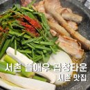 서촌뜰애우곱창타운 - 종로구 자하문로1나길 1 | 서촌 맛집 탐방 뜰애우 곱창타운 잡내없는 곱창 + 불쇼구경까지