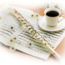 2009년 연예인 소속사 이미지