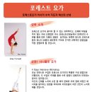 포레스트요가 - 양주시 평화로1399번길 62 | 포레스트요가