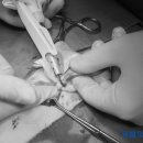 Dr.DOG 동물의료센터 이미지