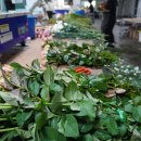 김해생명과학고등학교 이미지