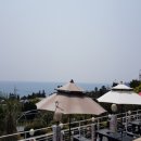 서귀포흑돼지명가 이미지