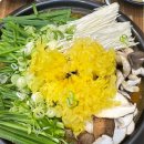 상황버섯 향촌 이미지