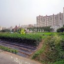전좌로 이미지