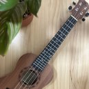 아름다운 선율, 우쿨렐레(입문) | 우쿨렐레 입문용 콘서트 추천 영창 HYK290 우쿨렐레 관리방법