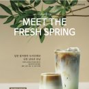 스프링스터디카페 이미지