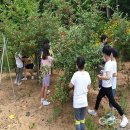 학성초등학교 국제뉴스