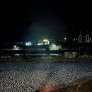 충주 이른아침 캠핑장 후기