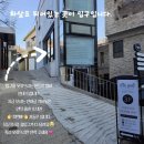 일루네일 이미지
