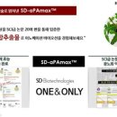 앤에스디