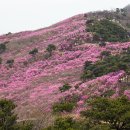 제 175차 정기산행(대구 비슬산) 이미지