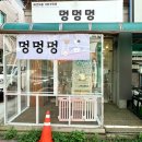 멍멍멍 | 안산 본오동 사리역 강아지미용 멍멍멍 애견미용실, 말티즈 스포팅 알머리 후기