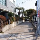 고릴라 뷔페 이미지