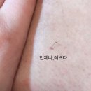 언제나,예쁘다 이미지