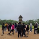 별밤캠프 이미지