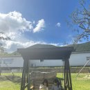 다은목장 이미지