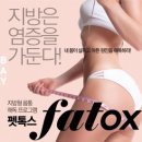 뷰티펫# 이미지