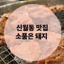 신월동133 | 신월동맛집 소품은 돼지 신월동 단체모임 맛집 양념소갈비살 추천 후기