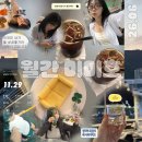 박대리몰 | [월간미미호] 2026. 06월호