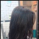 차프로헤어