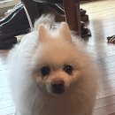 땡