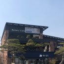 빵과당신 이미지